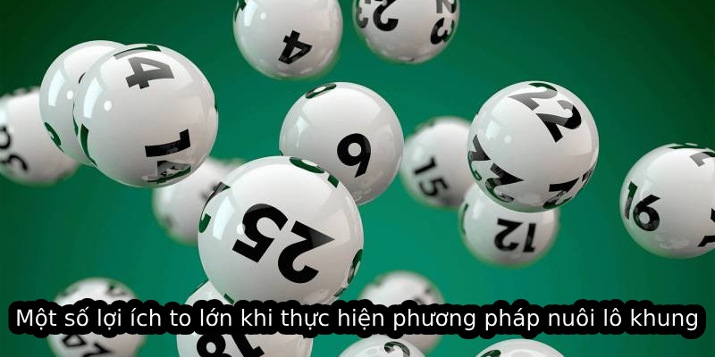 Một số lợi ích to lớn khi thực hiện phương pháp nuôi lô khung